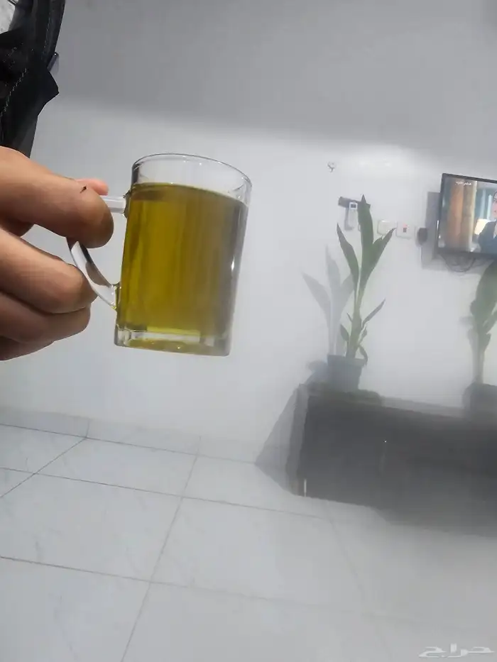 زيت زيتون شغل عفرين اصلي مكفول مائة بالمئة 470ريال التنكه 6