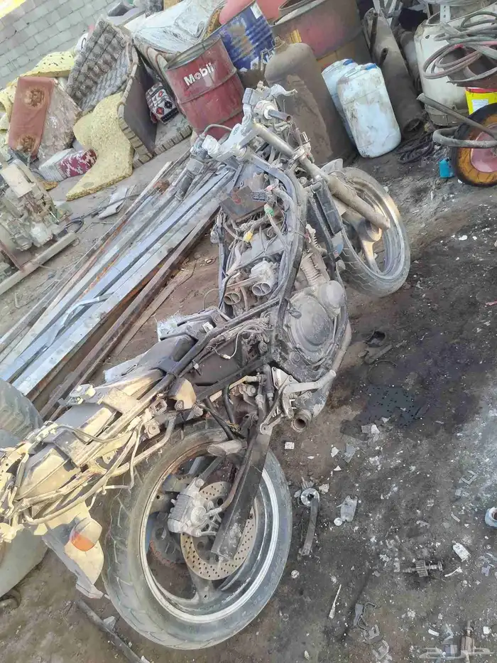 دباب ريس حجم 1100 1