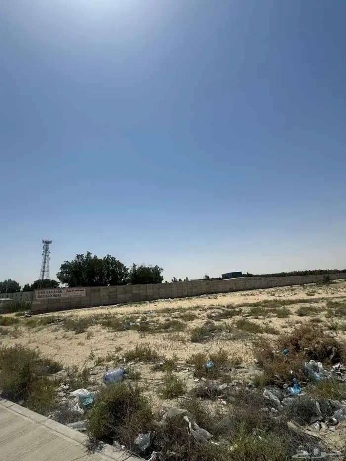 ارض زراعي للبيع الجبيل الصناعيه 6
