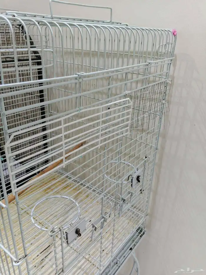 قفص مع الدراجه و ستاند 2