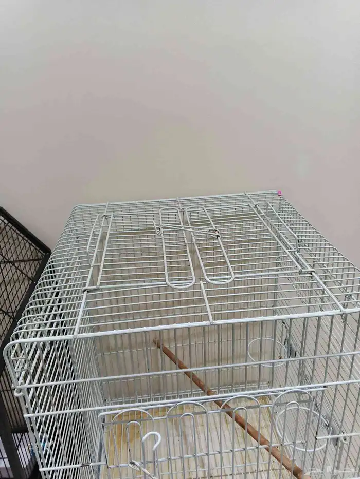 قفص مع الدراجه و ستاند 1