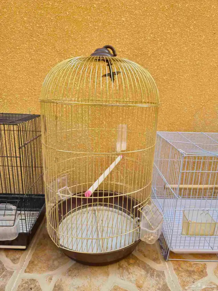 اقفاص طيور 3