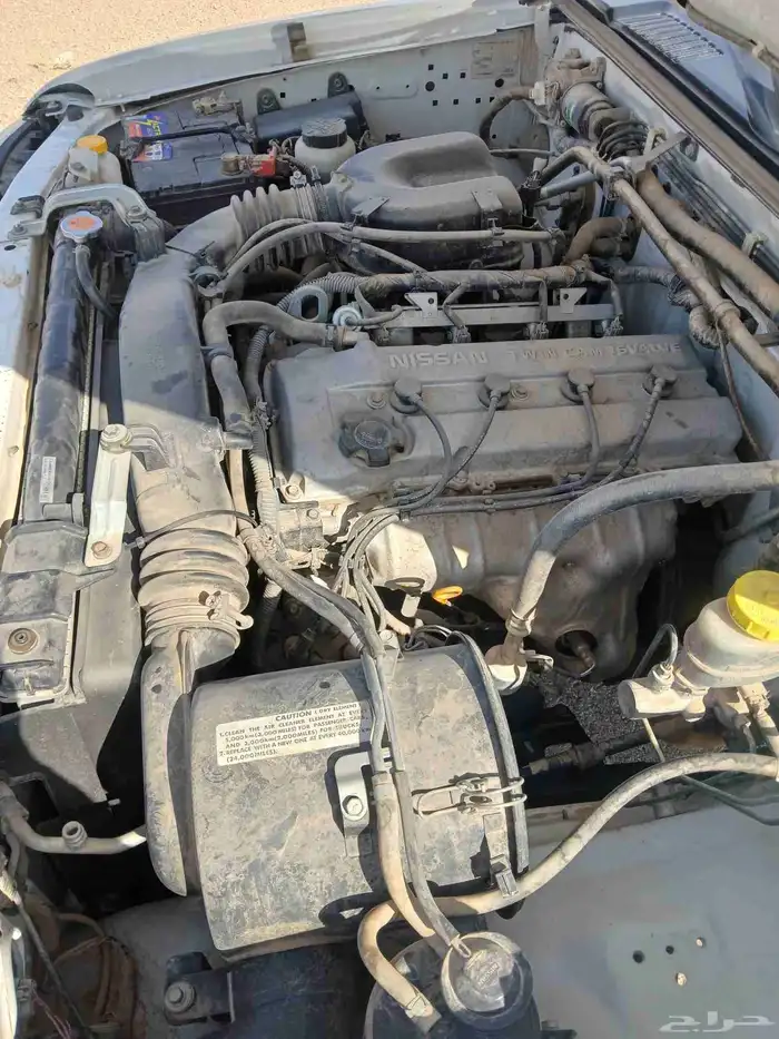 دادسن مديل 2015 6