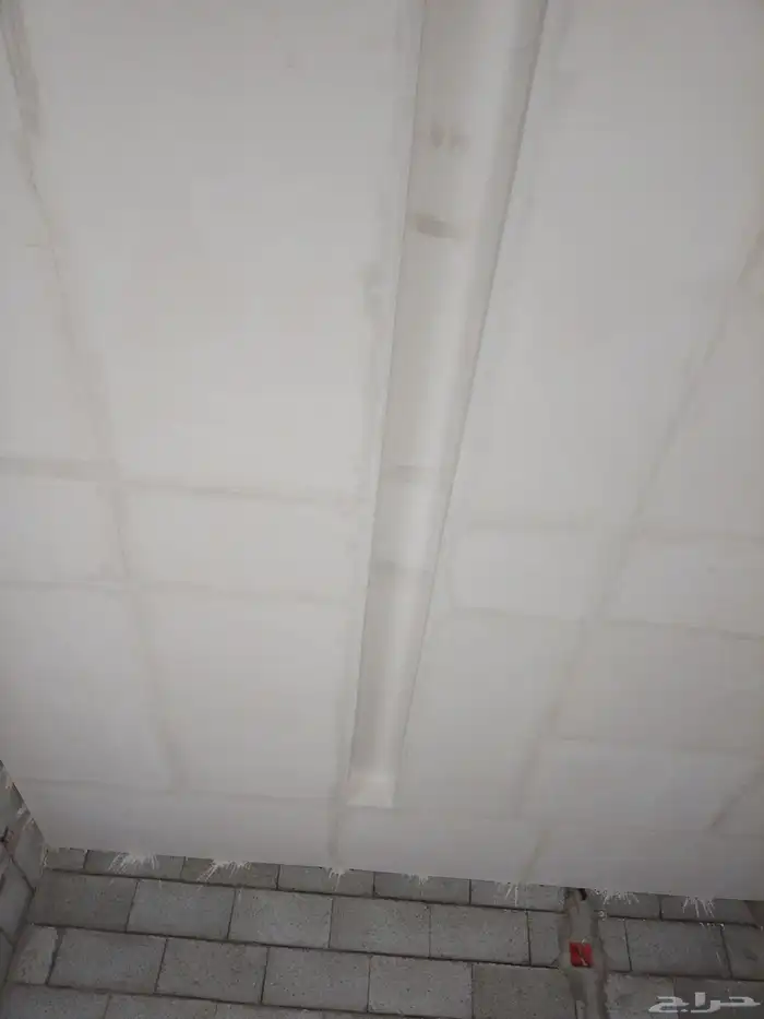 مم جبس عا دي شغل 100 2