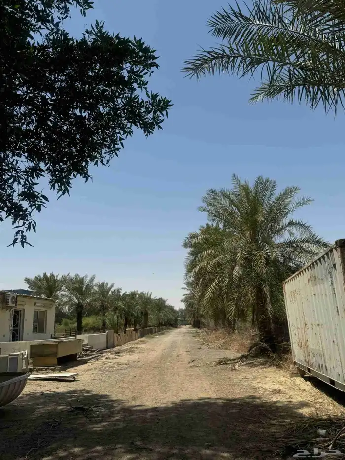 ارض زراعي للبيع الجبيل الصناعيه 8
