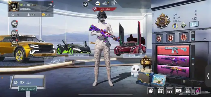 حساب ببجي العالميه لفل 83 28