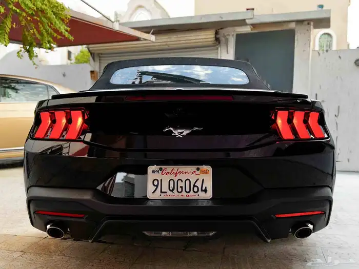 موستنج ايكوبوست كشف بطاقة جمركية 6