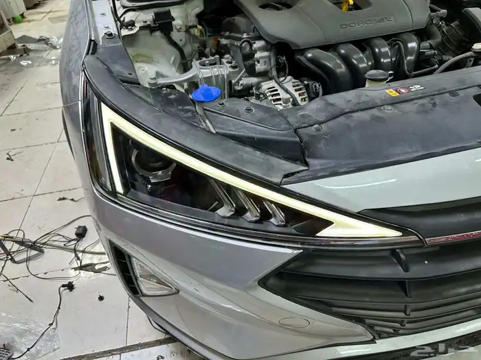 زراعة لدات رموش. الانترا2020 1