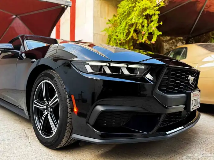 موستنج ايكوبوست كشف بطاقة جمركية 3