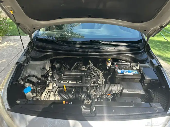 الاحساء الهفوف 7