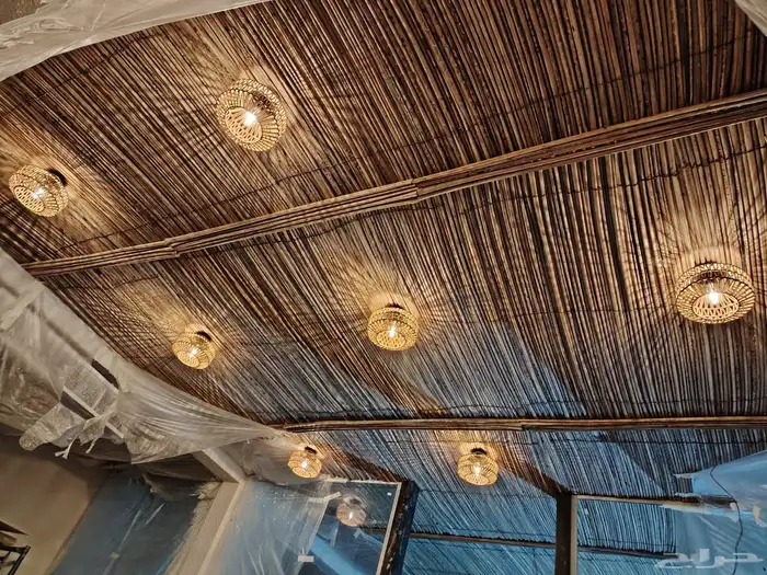 سعف نخل للحدائق والزينه 8