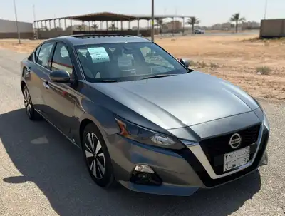 التيما2022 index