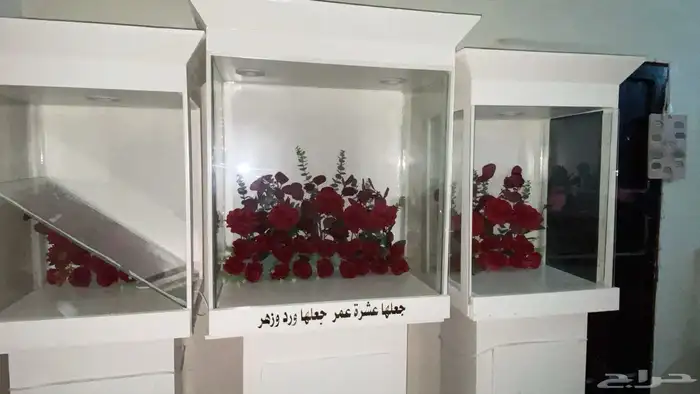 دولاب ملكة جديد 0