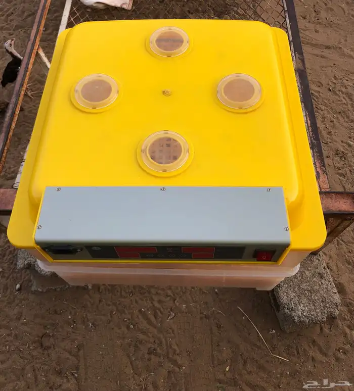 للبيع فقاسه 96 اوتماتيك 4