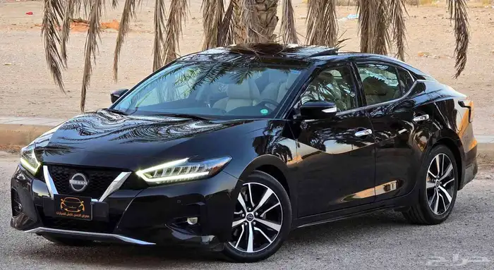 مكسيما 2023 SV 2