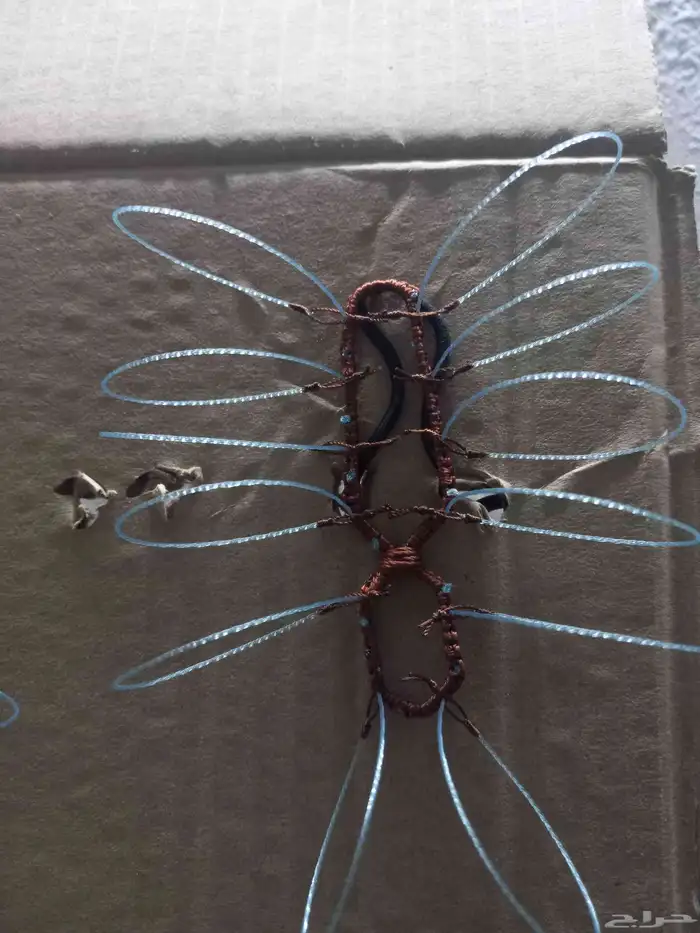 شبك لطرح الصقور 1