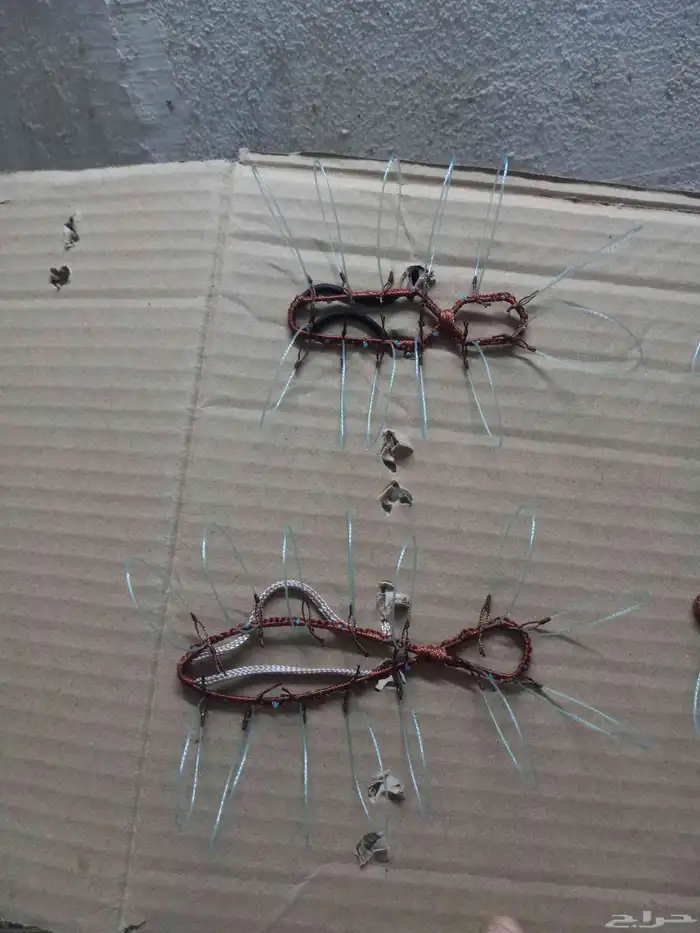 شبك لطرح الصقور 0