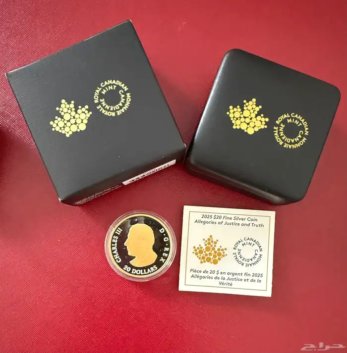 عملة معدنية فضة نقية 1 أونصة إصدار محدود 4