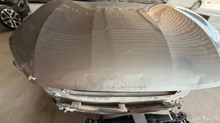 كبوت تورس 2023 - 2024 3