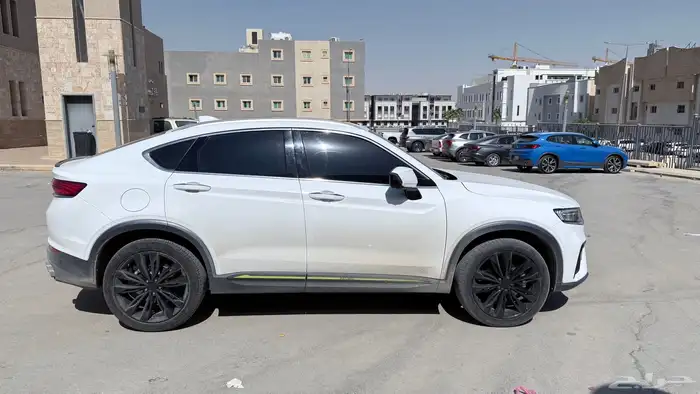 جيلي 2 جيلا 14