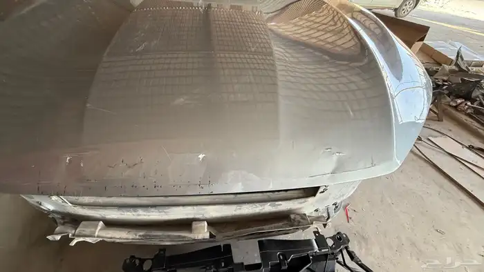 كبوت تورس 2023 - 2024 1