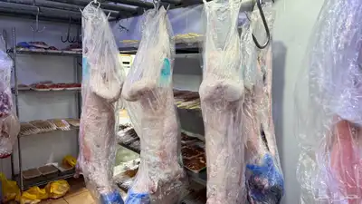 نعيمي سواكني نعيمي كشميري مفروم عجل وغنم index