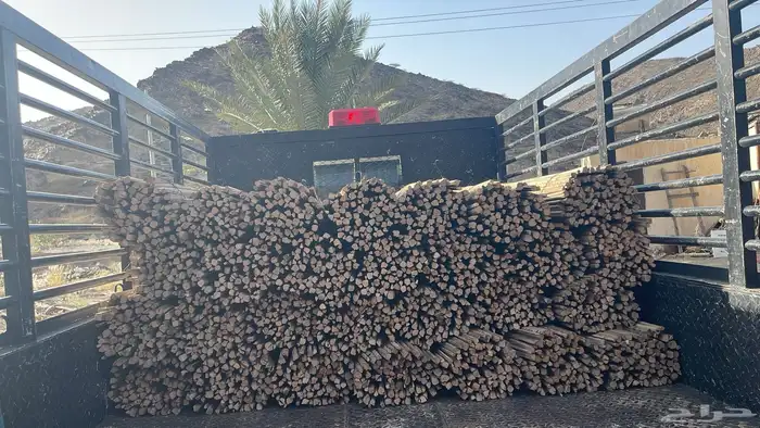 سعف نخل للحدائق والزينه 5