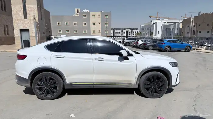 جيلي 2 جيلا 13