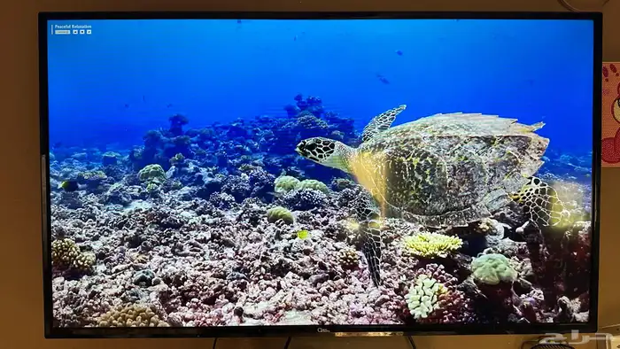 للبيع اثاث البيت 10