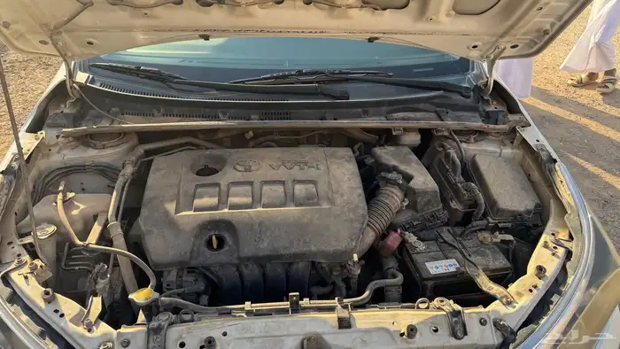 كورلا 2014 نص فل 12