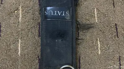 حزام عسافه استيتوس index