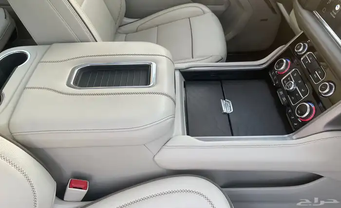 دينالي 2022 شبه جديد 17