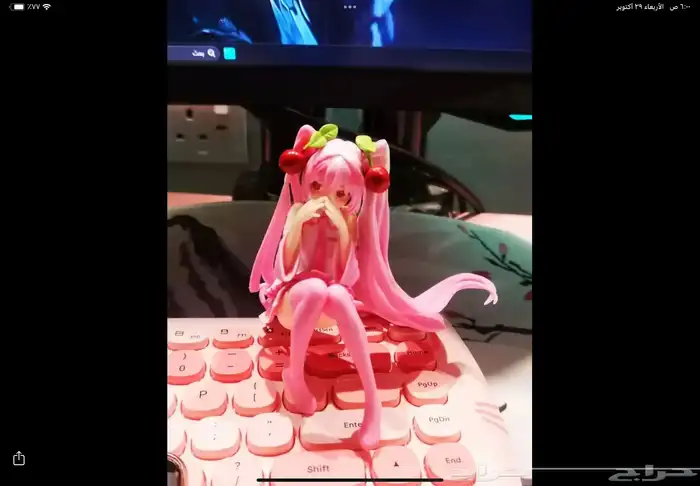 فيقر وردي للبيع 0