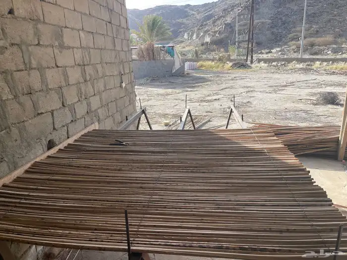 سعف نخل للحدائق والزينه 3