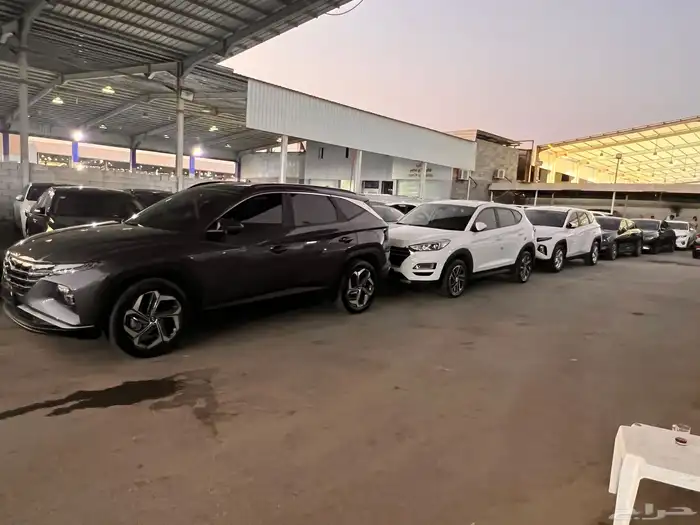 وصول دفعه جديده توسان 2021 1