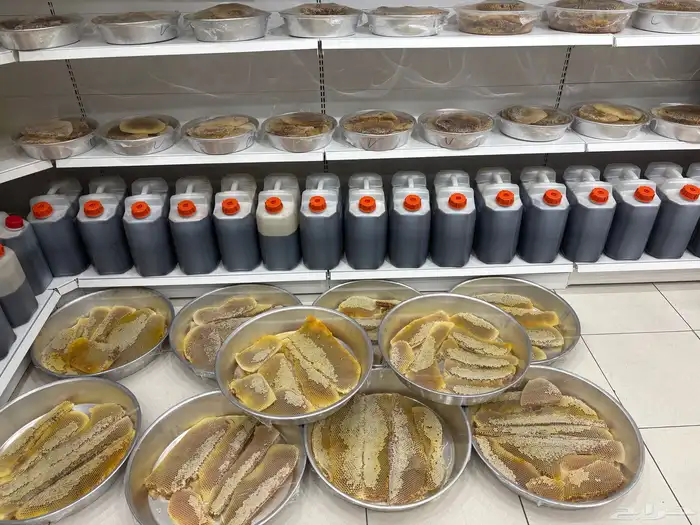 عسل سدر وعسل طلح وعسل سمر 0