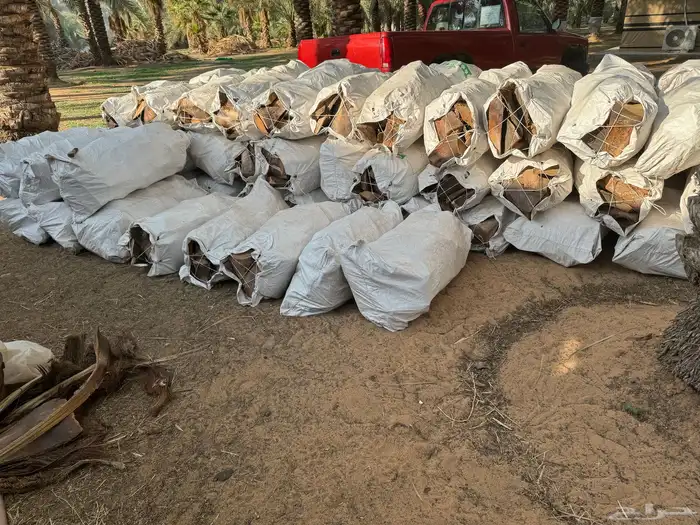 كرب نخل مقصص ونظيف 2