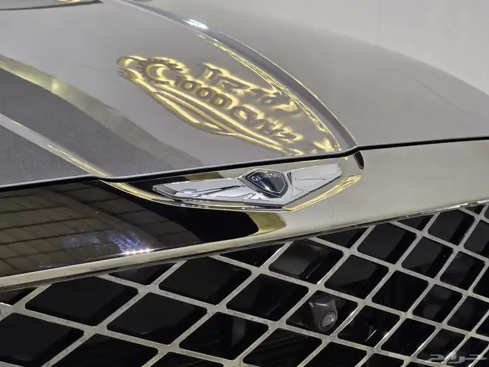 جينسس GV80 موديل 2023 بحاله الوكاله 10