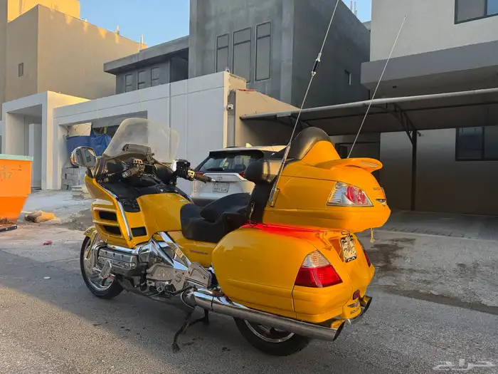 قولد وينق 2010 1