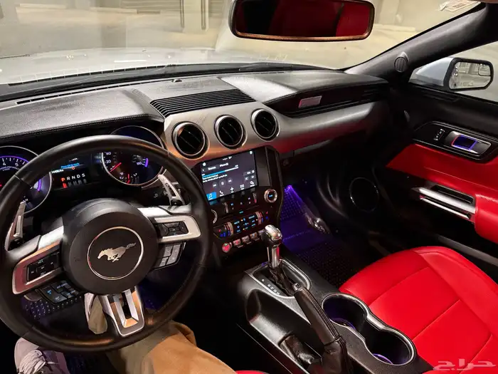 فورد موستنق إيكوبوست 2018 ( كشف ) 29