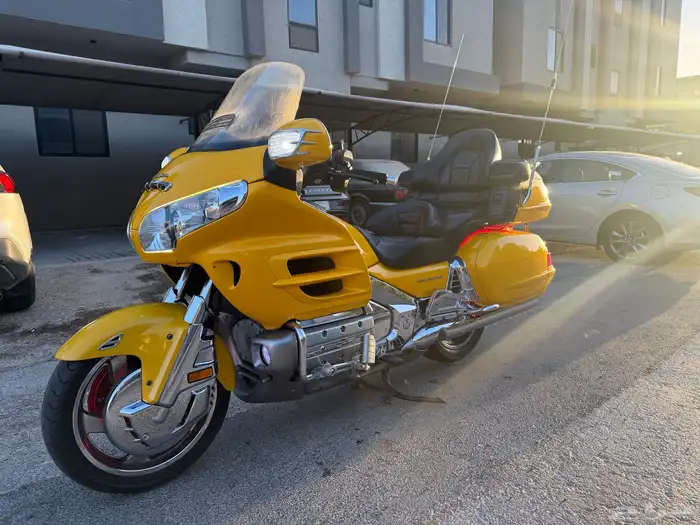 قولد وينق 2010 0