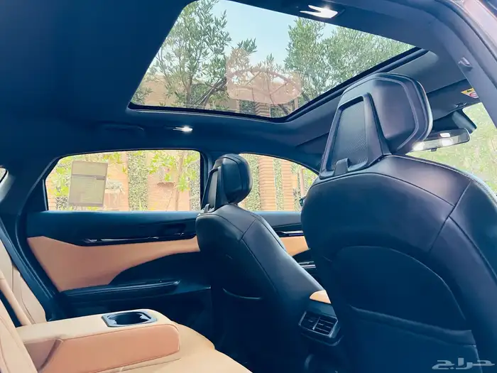 شانجان يوني في 2023 37