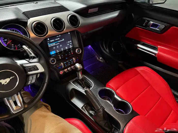 فورد موستنق إيكوبوست 2018 ( كشف ) 30