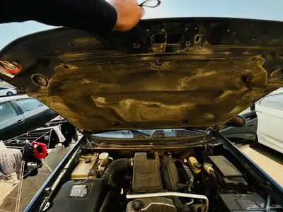 trail blazer urgent sale index