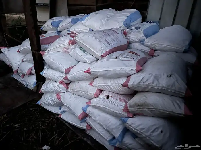 يوجد تمر علف للمواشي للبيع عدد 80 كيس طحين 0