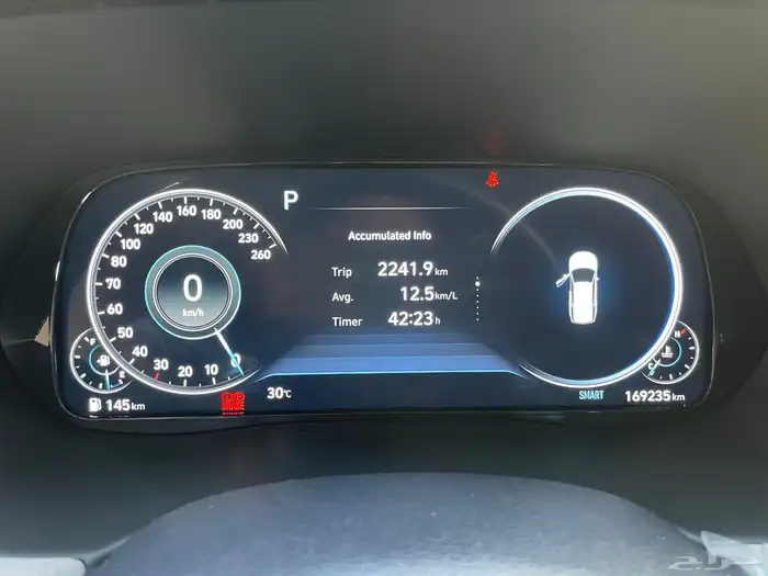 هونداي باليسيد 2021 فل كامل ديزل 17