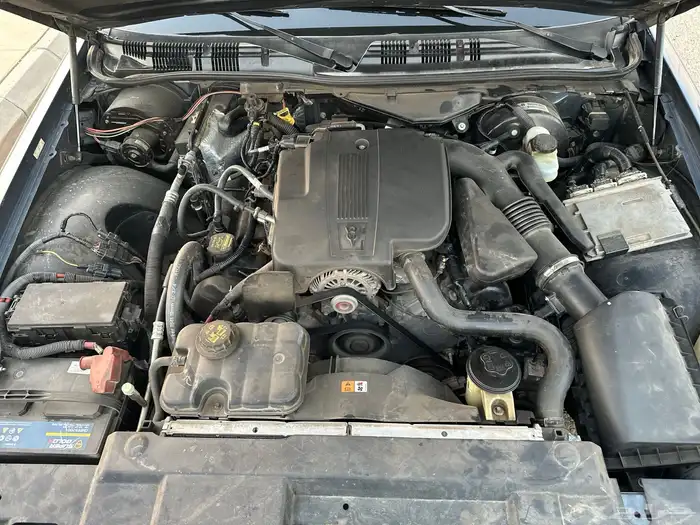 فكتوريا كحلي فل كامل نظيف 55