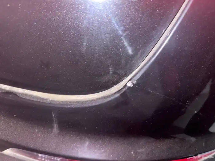 جيلي   توجيلا 2025 نص فل للتنازل 4