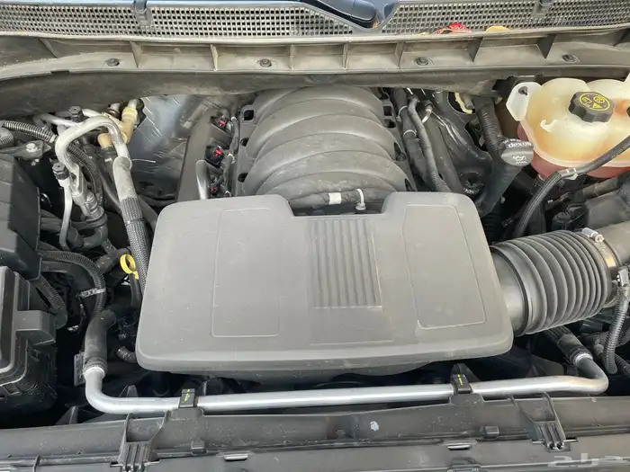 دينالي 2022 شبه جديد 81