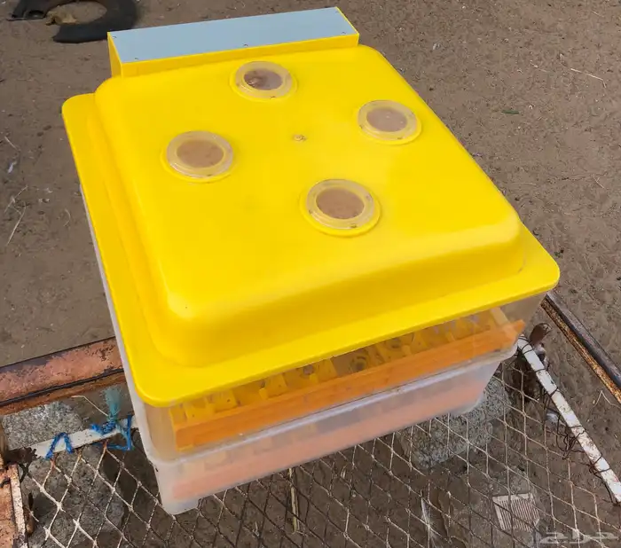 للبيع فقاسه 96 اوتماتيك 5